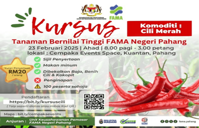 Cultivating the Future: Students Master High-Value Chili Farming Through Modern Fertigation